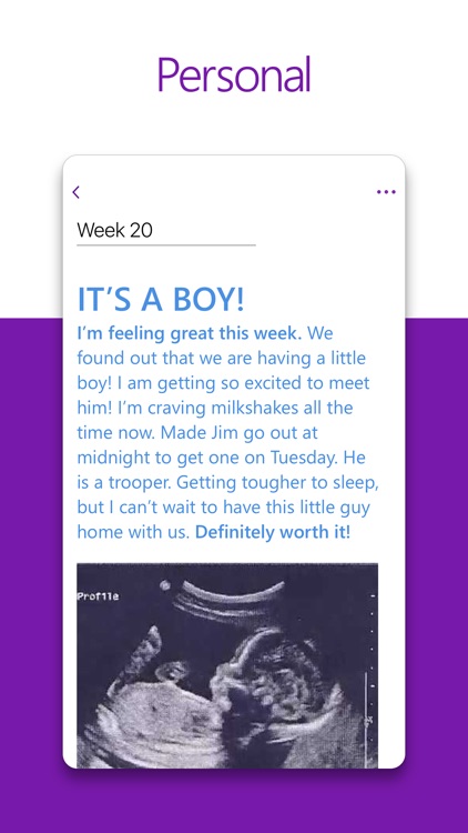 Microsoft OneNote screenshot-3
