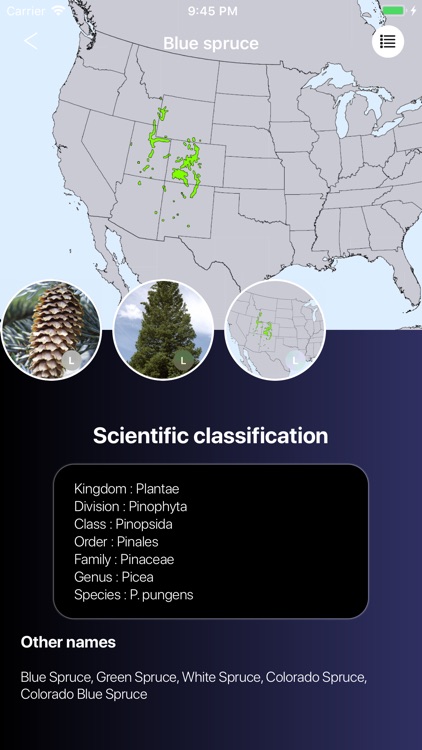 Conifers screenshot-7