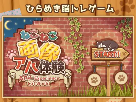 ねこねこ画像アハ体験
