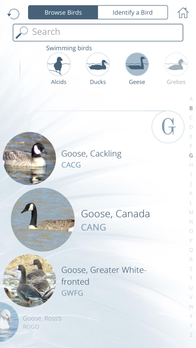 Screenshot #2 pour FeatherFlix