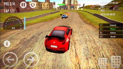 Rally Driver Race screenshot 2