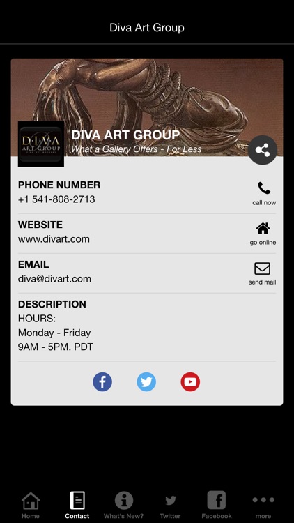 Diva Art Group screenshot-4