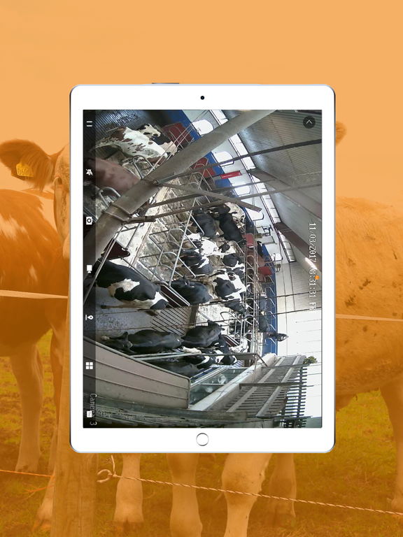 Screenshot #5 pour FarmCamHD
