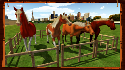 Horse Show Jumping Challenge screenshot 5