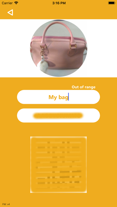 Bag iTag screenshot