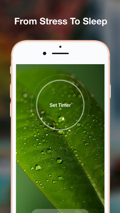 How to cancel & delete Yolo: Meditation & Sleep from iphone & ipad 3
