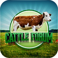 Cattle Forum