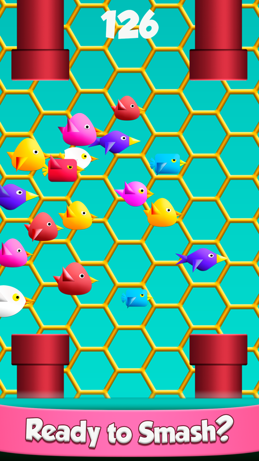 Cool Birds Game - Fun Smash - 1.0.22 - (iOS)