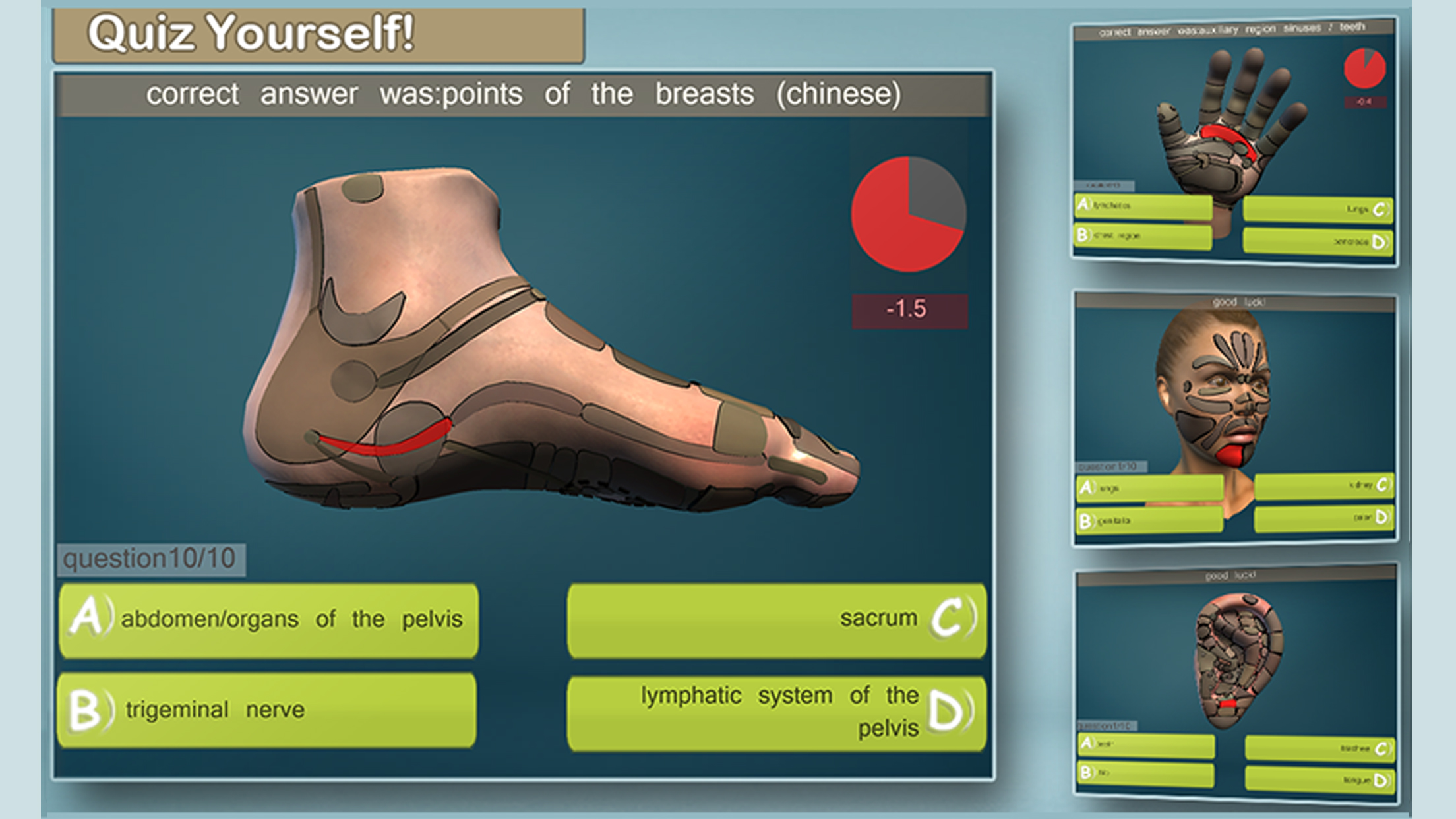 Total Reflexology-3D screenshot 3