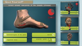 Total Reflexology-3D screenshot