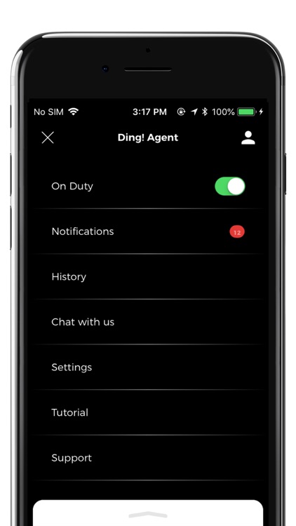 Ding! Agent screenshot-3