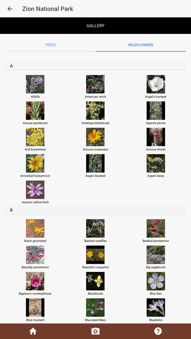 Zion Park Wildflowers iPhone screenshot 5 - Travel app