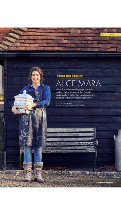 Homes & Antiques Magazine screenshot-6