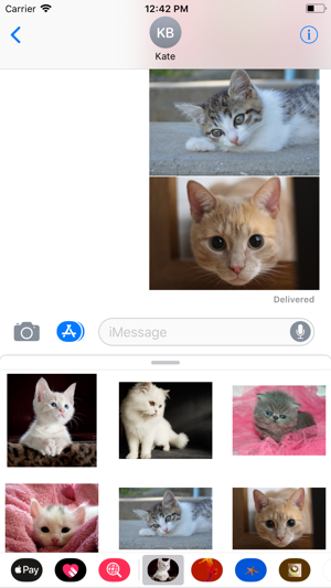 Kitten Sticker Pack(圖8)-速報App