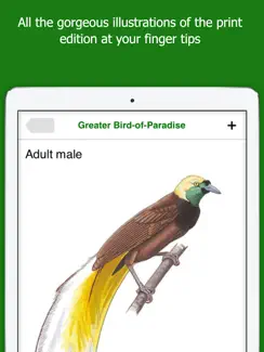 Birds of New Guinea iPad image 2