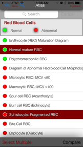 Hematology Outlines Atlas screenshot