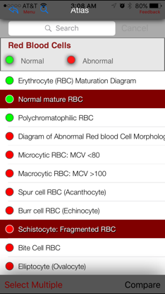 Hematology Outlines Atlas screenshot 3