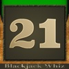 Blackjack Whiz - Blackjack Trainer