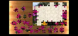 Game screenshot PPPuzzle! mod apk