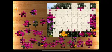 PPPuzzle!
