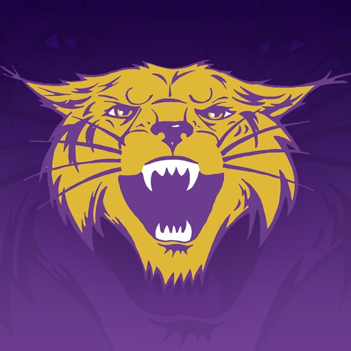 Bethel University Athletics icon