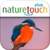 Identify live bird songs icon