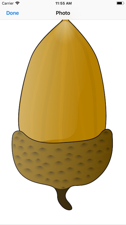 Acorn Stickers