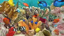 myreef 3d aquarium 3 problems & solutions and troubleshooting guide - 2
