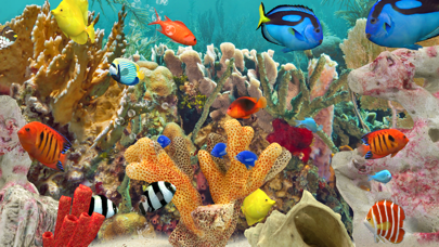 Screenshot #1 pour MyReef 3D Aquarium 3