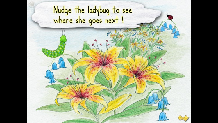 The Caterpillar & the Ladybug screenshot-3