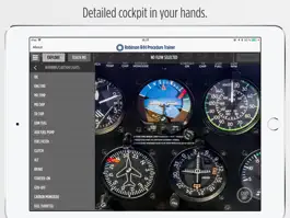 Game screenshot Robinson R44 Procedure Trainer apk