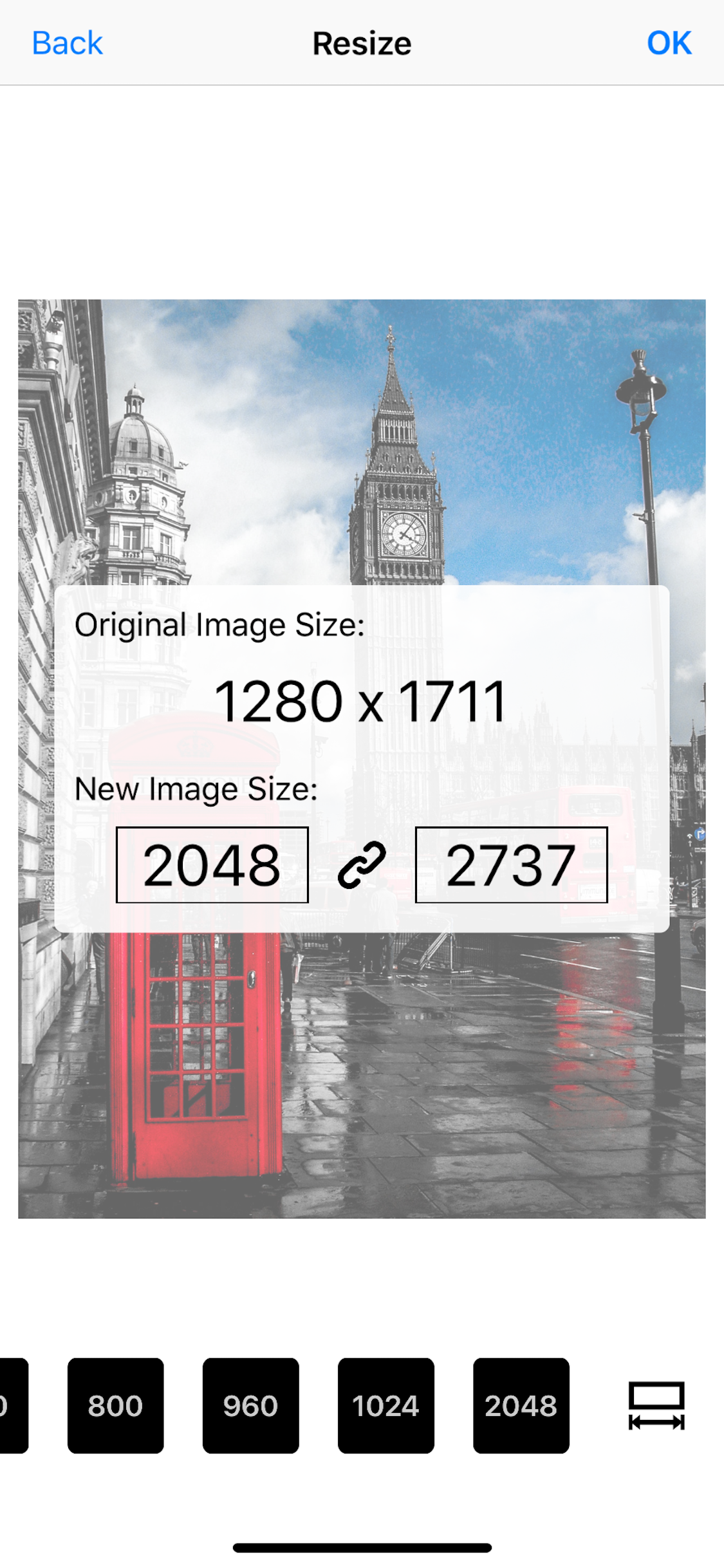 Image Resizer Pro - image crop