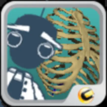 Dr Girder Bones Cheats