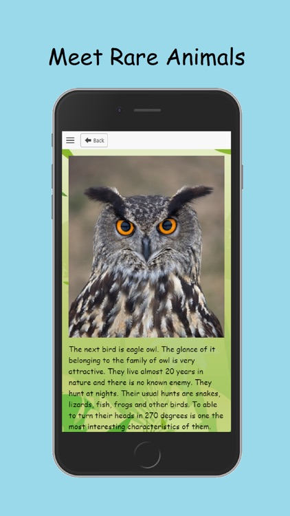 Zoo Adventure For Kids