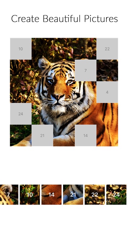 Fill Pixels by Number Game