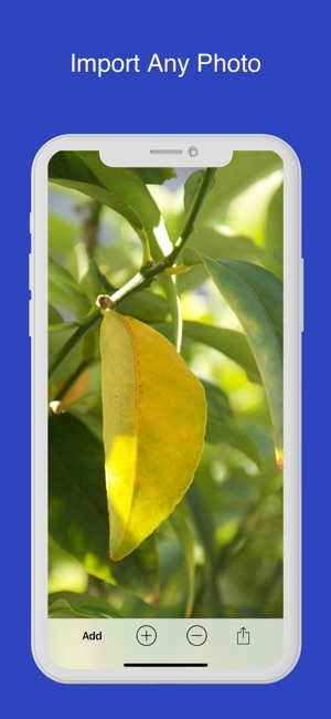 Enhance - Zoom in Photos(圖2)-速報App