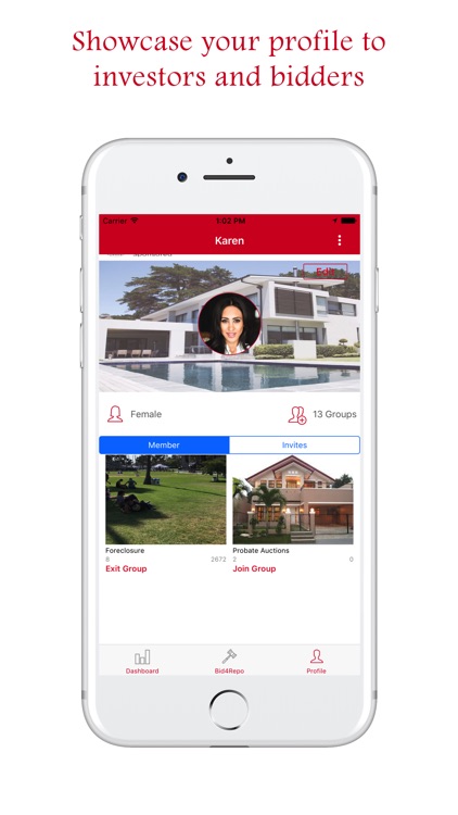 Bid4Repo screenshot-3