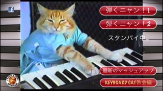 Play Him Off, Keyboard Cat!のおすすめ画像1