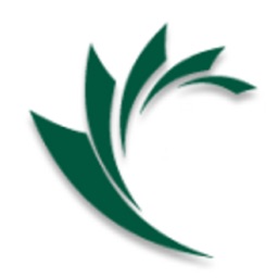 AAdvantage Insurance Group