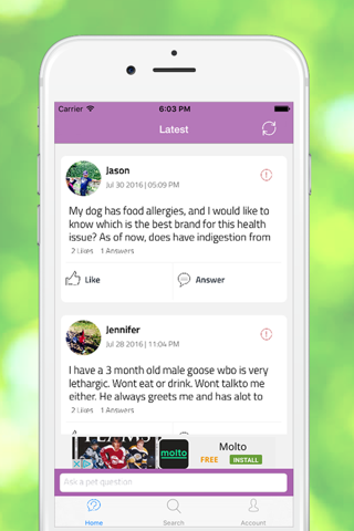 Pet Lovers - Ask pet questions - náhled