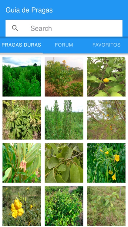 Guia de Pragas Duras em Pastag