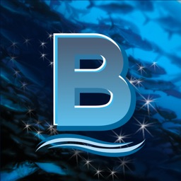 Blue Aqua