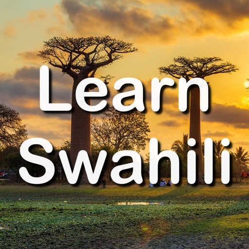 Fast - Learn Swahili icon