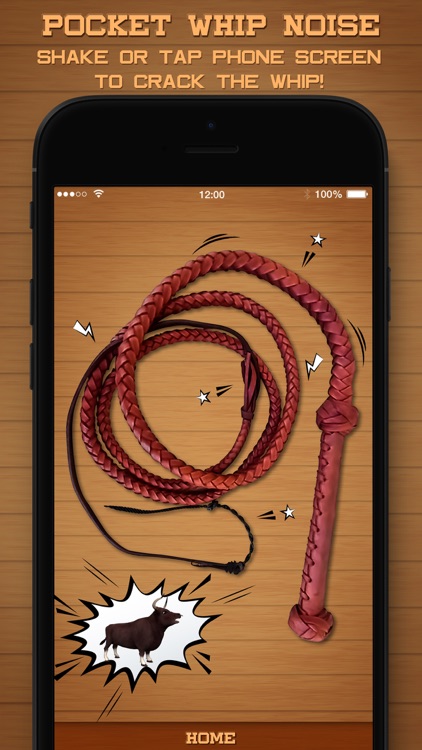 Pocket Whip Noise screenshot-3