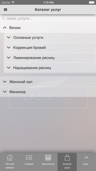 LASHLAB screenshot 2