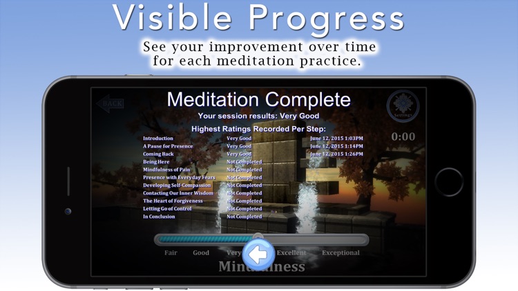 Mindfulness Meditation with Tara Brach, Phd. screenshot-4