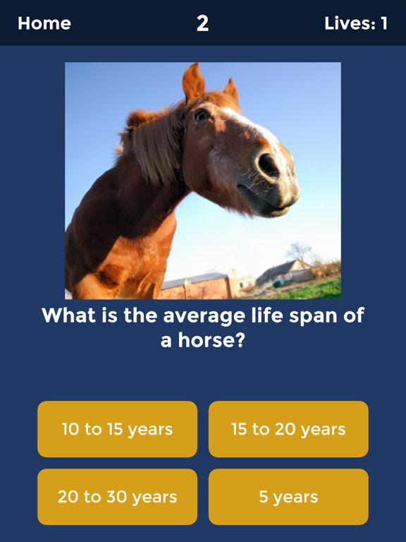 Screenshot #5 pour Horse Quiz by HayGrazer
