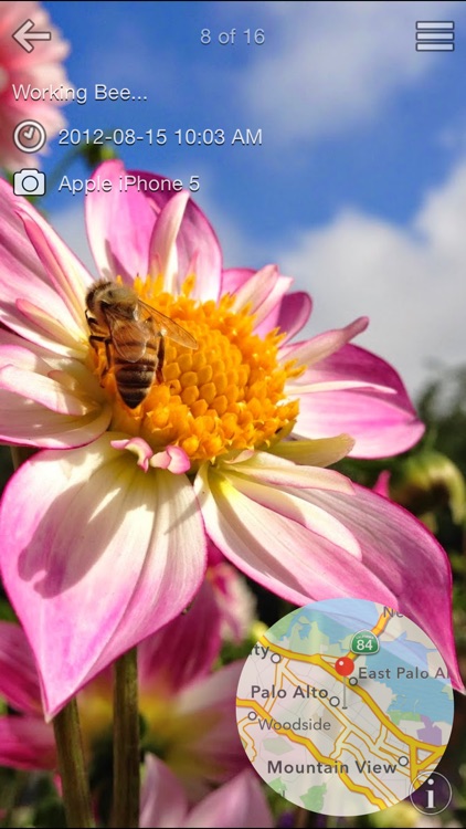 G Gallery for Google Plus screenshot-3