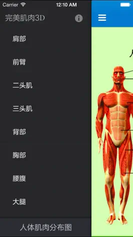 Game screenshot The perfect muscle exercise guide 3D apk