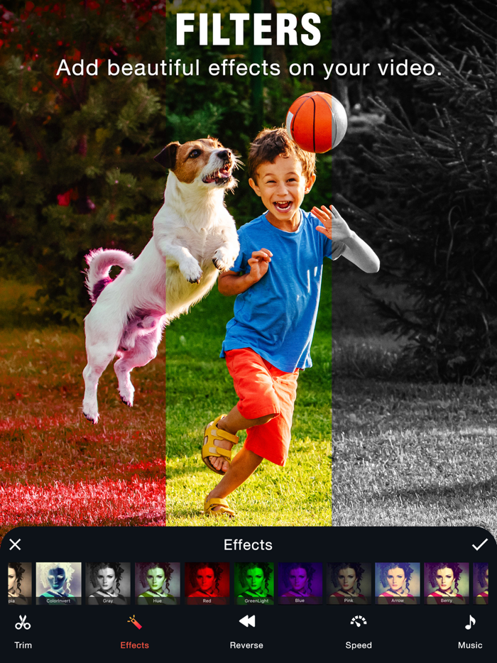 Video Reverse – Play Backwards